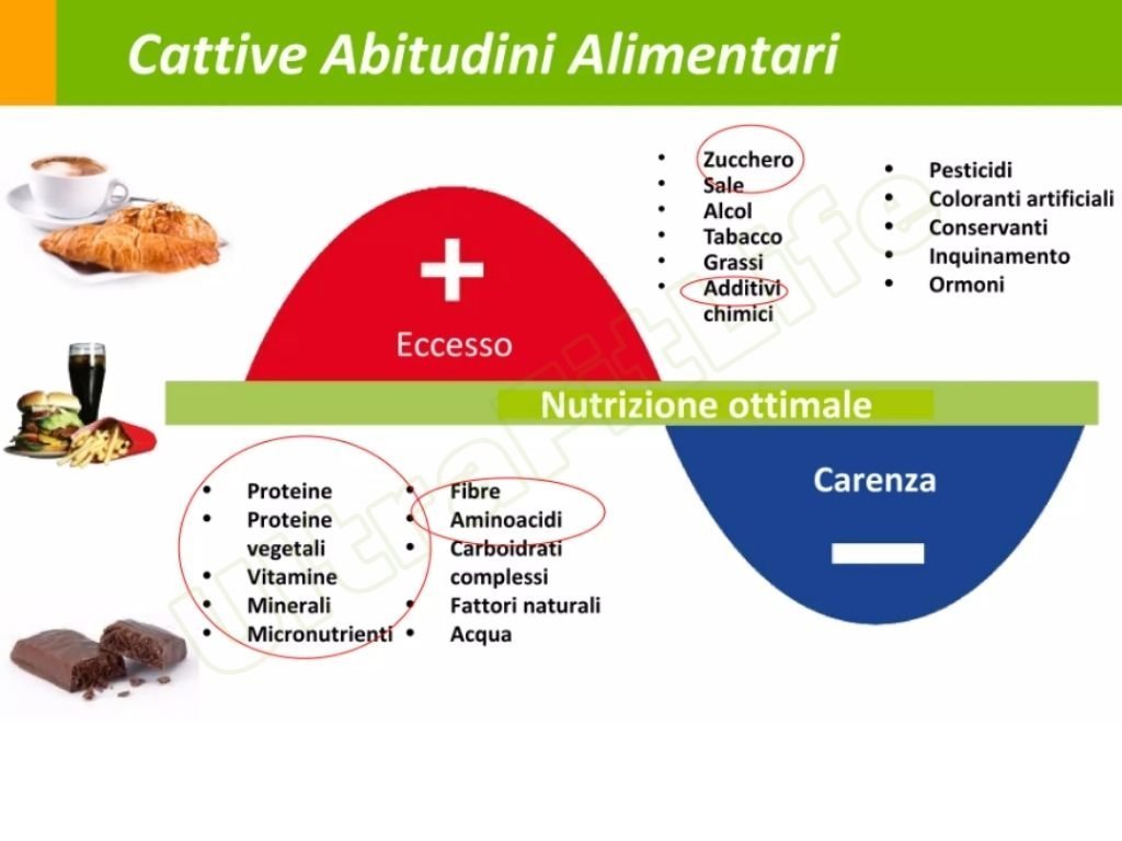 Piano Nutrizionale